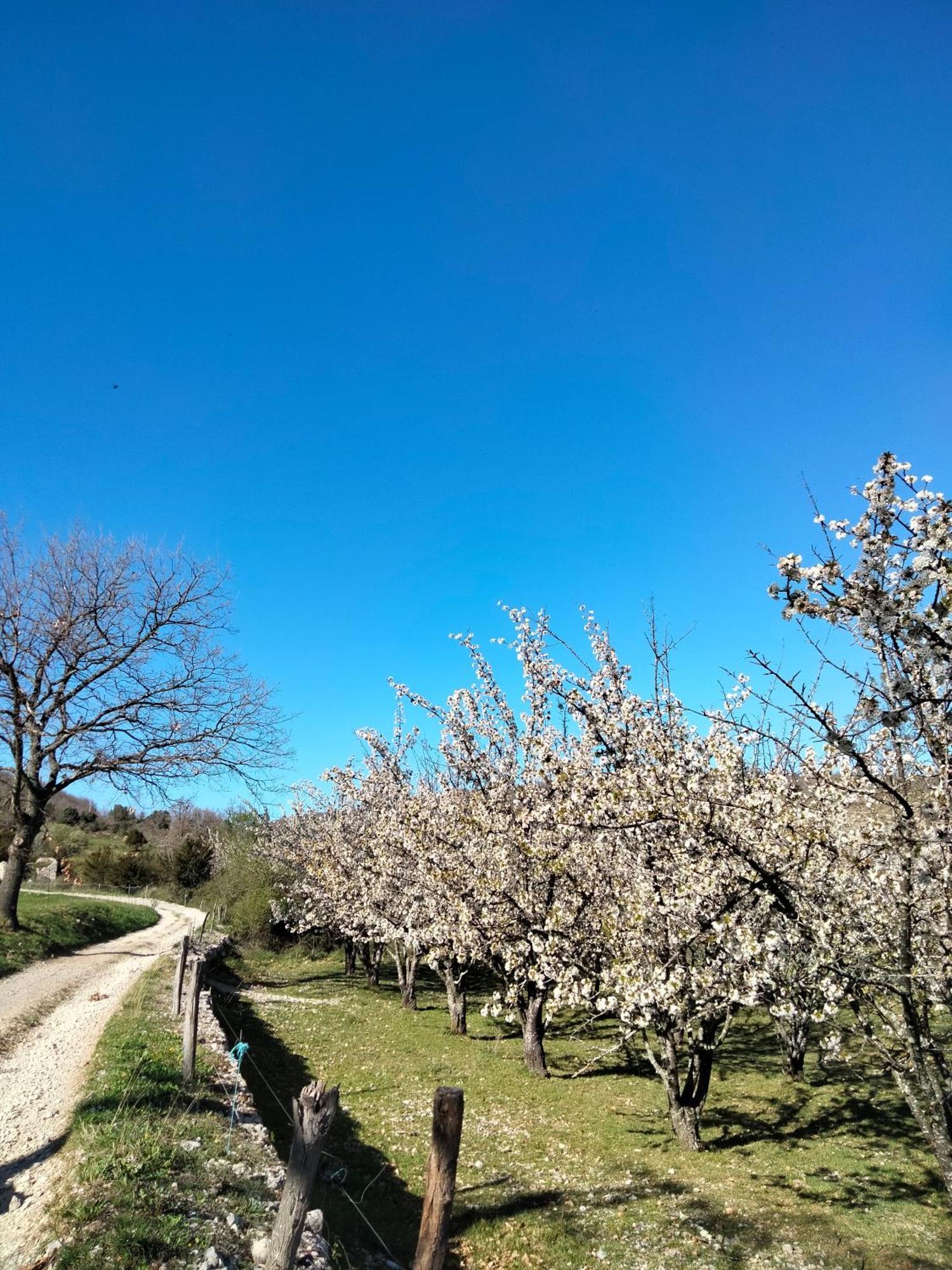 Gasthof La Grange De Sabatas *